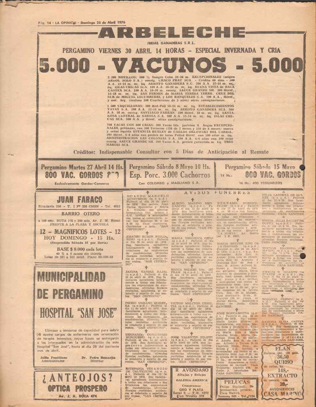 19134 (15)_ds.jpg
